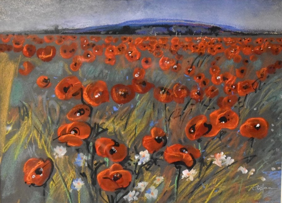 Câmp cu maci, pictură expresivă, Constantin Tofan, 2003